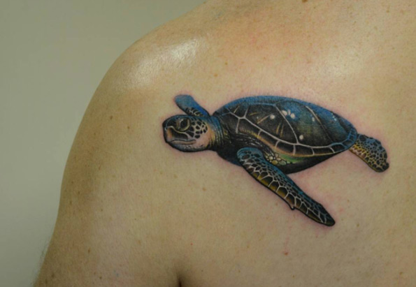 Realistic sea turtle by Ryson Lapenia