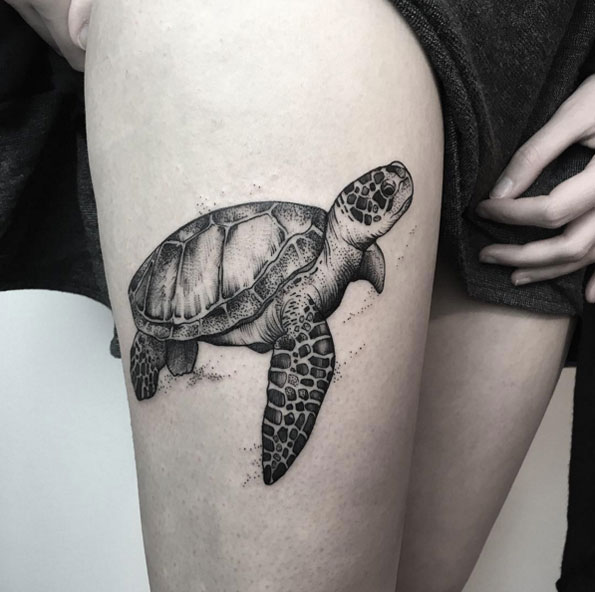 Black and grey ink turtle by María Fernández
