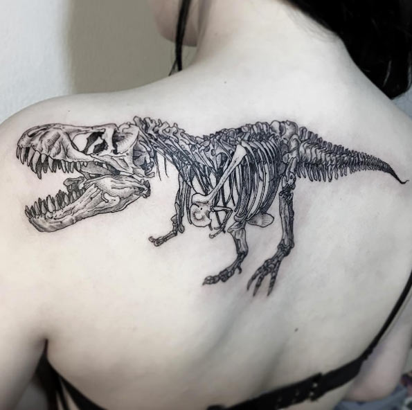 Full t-rex skeleton by OOZY