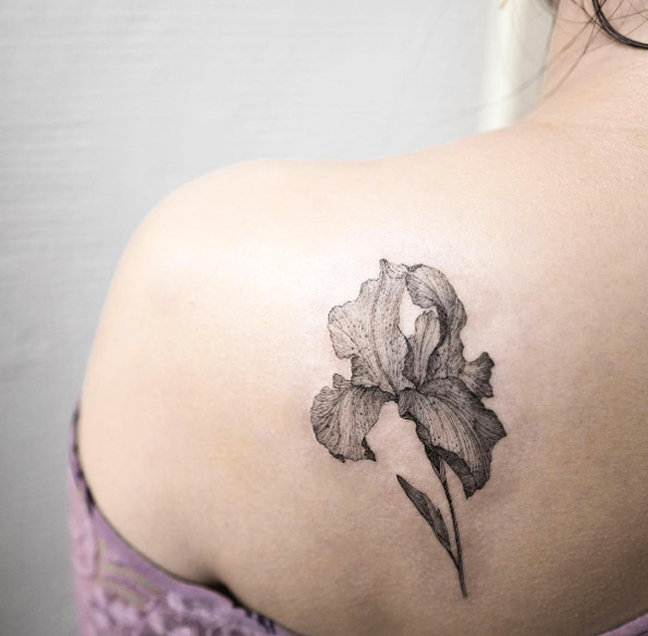 Blackwork iris tattoo on back shoulder by Hongdam