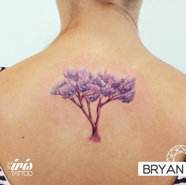 Pink tree on back by Bryan Gutierrez