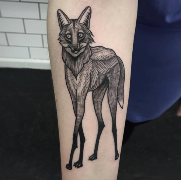 Maned wolf tattoo by Suflanda