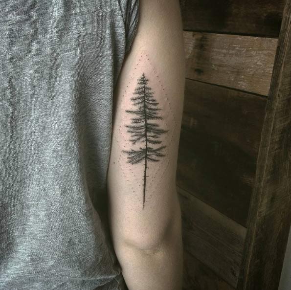 Pine tree tattoo by Caitlin Lindstrom-Milne