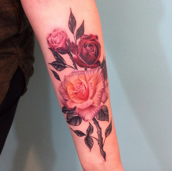 Roses in various stages of bloom by Bryan Gutierrez