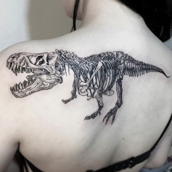 T-rex skeleton by OOZY