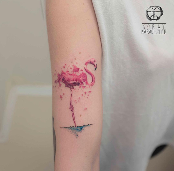 Flamingo by Koray Karagozler