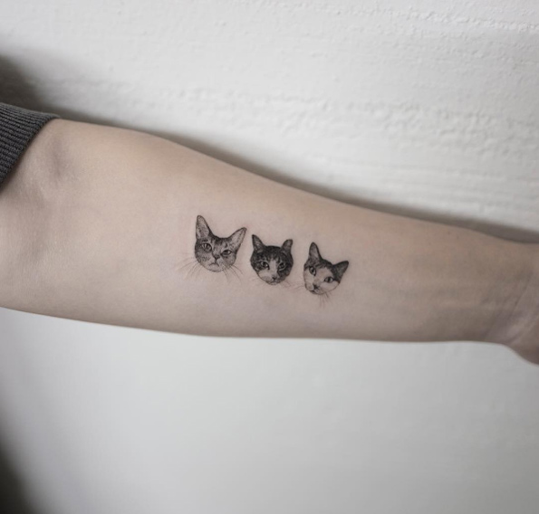 Three cats by Hongdam