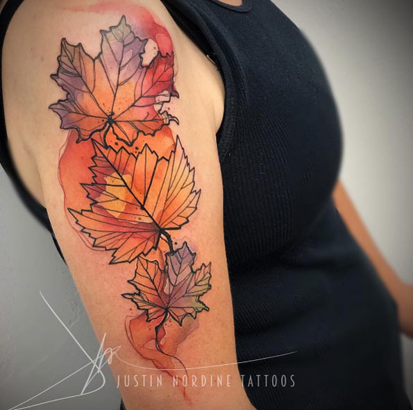Fall leaves by Justin Nordine