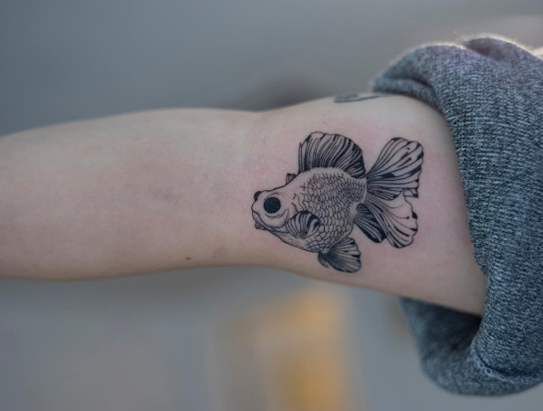 Black-eyed goldfish by OOZY
