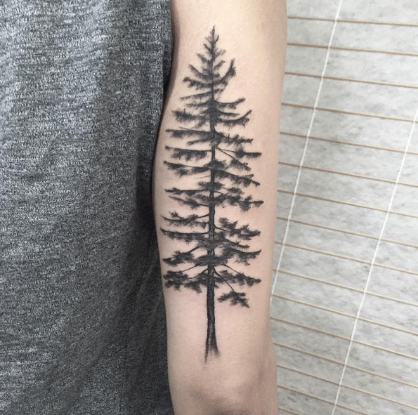 Pine tree tattoo by Ash Timlin