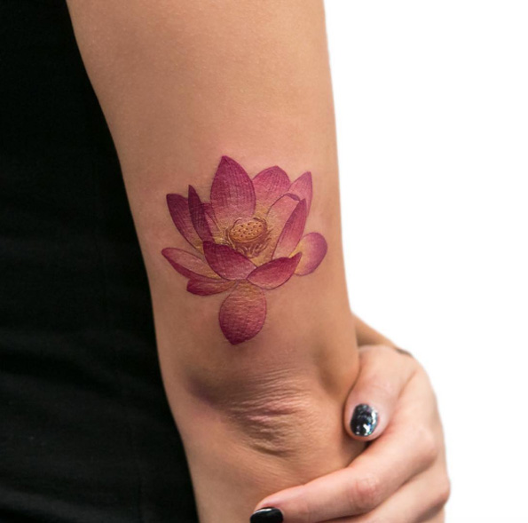 Vibrant lotus flower by Joice Wang