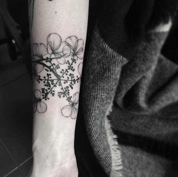 X-ray botanical piece by Sara Reichardt