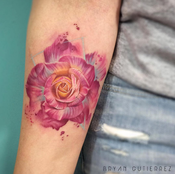 Beautiful rose by Bryan Gutierrez