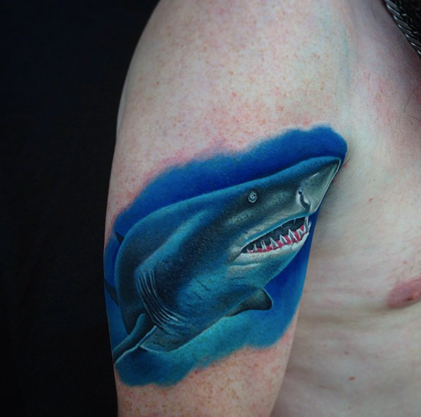 Shark portrait by Fabian Guntzel