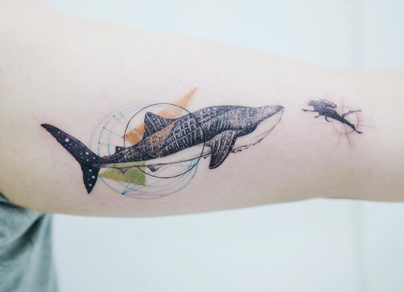 Whale shark encounter by Tattooist Banul