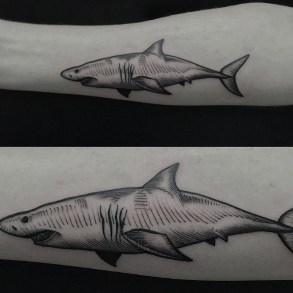 Linework shark tattoo by Frank Carrilho