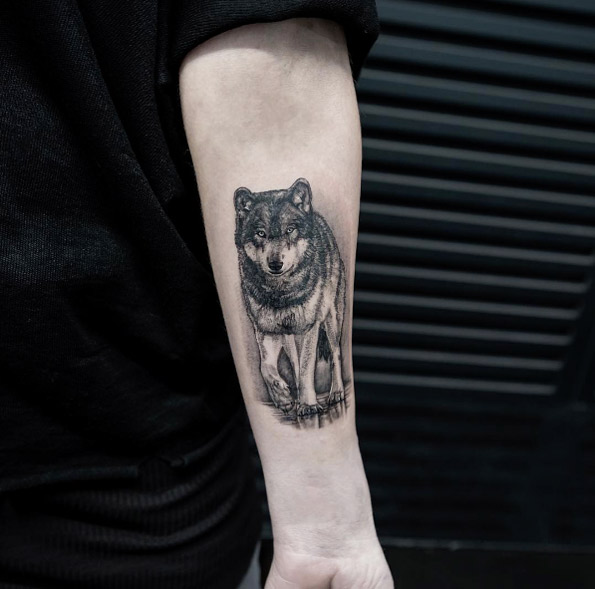 Wolf tattoo on forearm by Mikhail Anderson