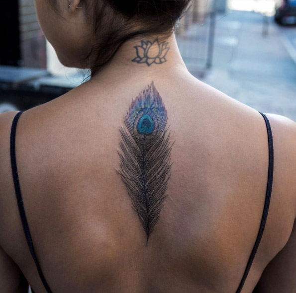 Peacock feather on back by Balazs Bercsenyi