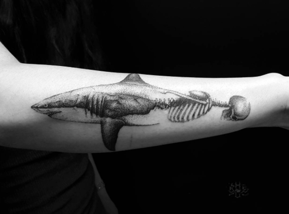 Half skeleton, half shark by Anton