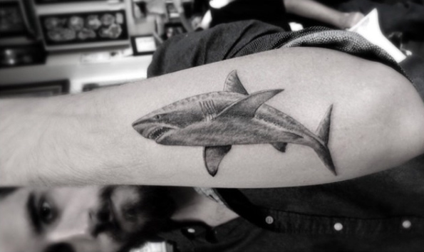 Black and grey ink shark by Doctor Woo