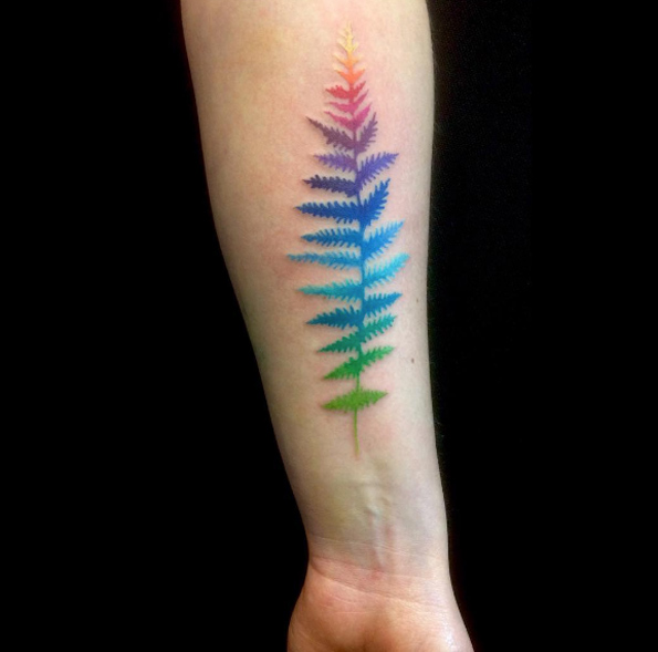 Colorful fern by Amanda Chanfreau