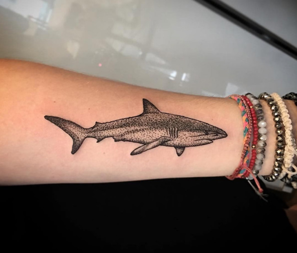 Dotwork shark tattoo by Black Line Studio
