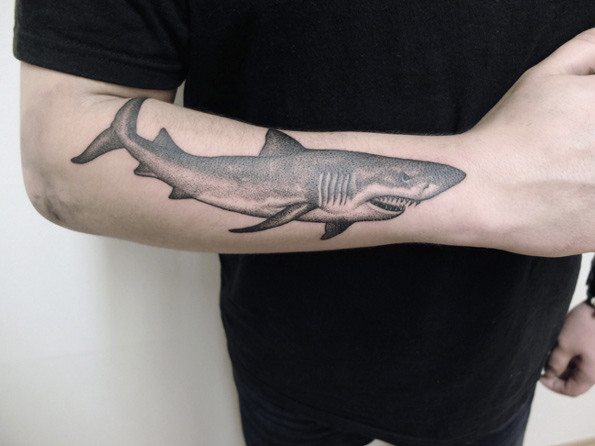 Dotwork shark on forearm by Jan Mraz