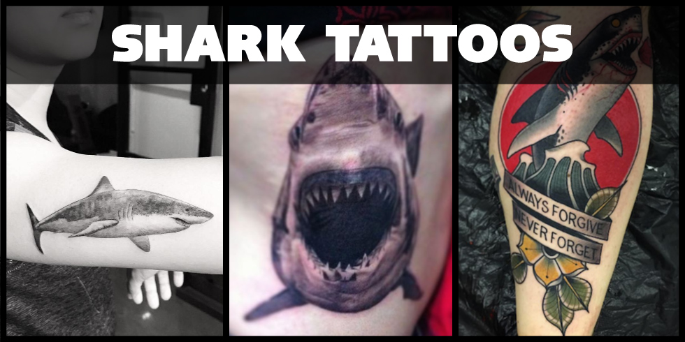 The best shark tattoo designs....ever.