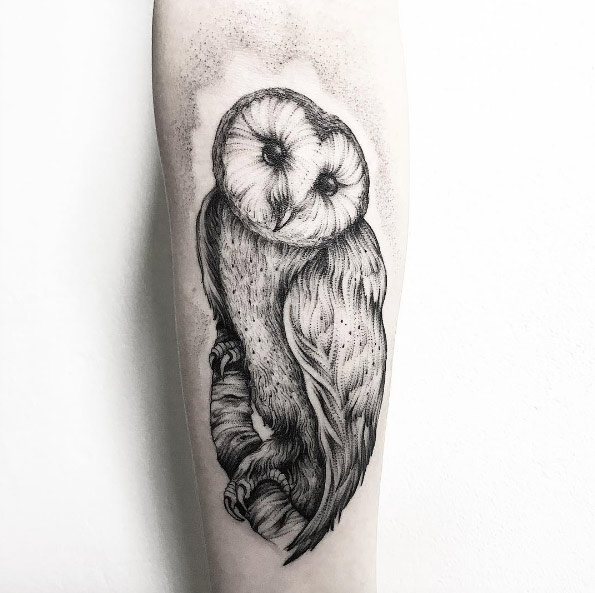 Dotwork barn owl tattoo by Parvick