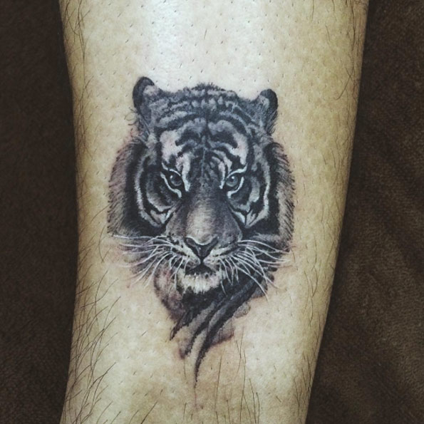 Black and grey watercolor tiger by Doy
