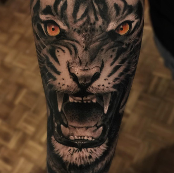 Realistic tiger tattoo by Alex Bruz