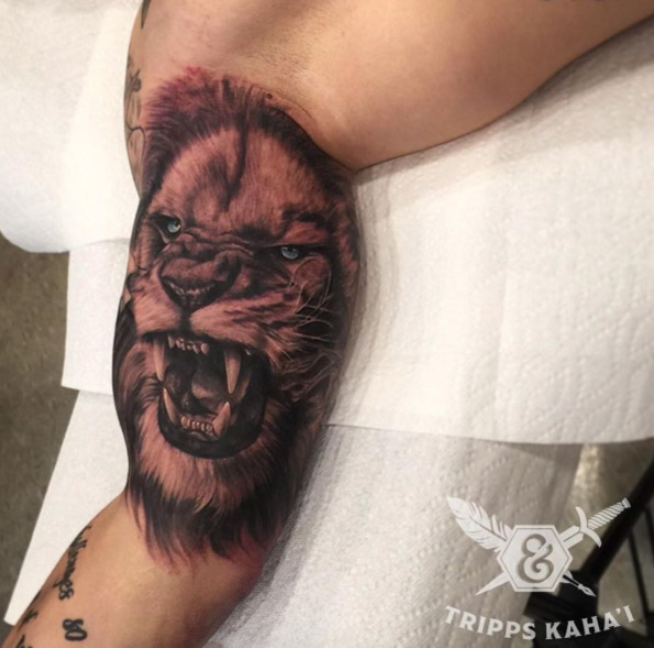 Lion tattoo on bicep by Tripps
