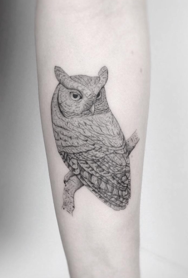 Fine line owl tattoo by Jakub Nowicz