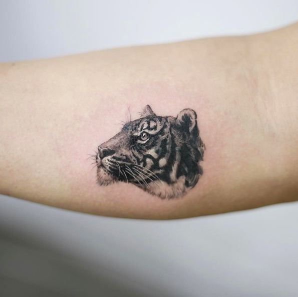 Tiny tiger cover-up by Tattooist Doy