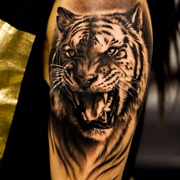 Tiger tat by Oscar Akermo