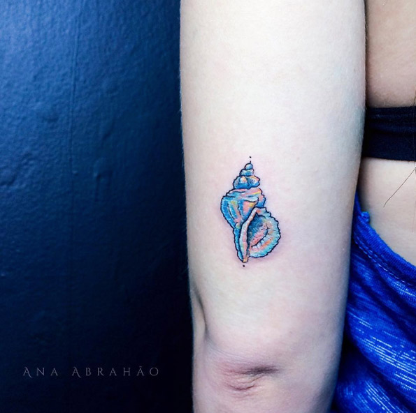 Colorful seashell by Ana Abrahao