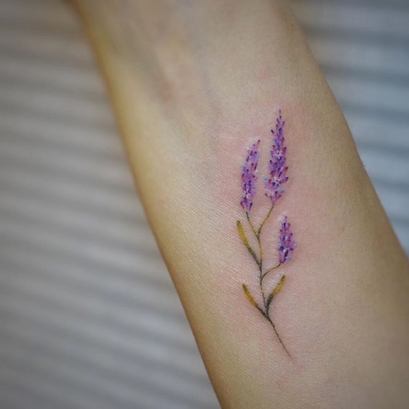 Lavender flower by G.NO