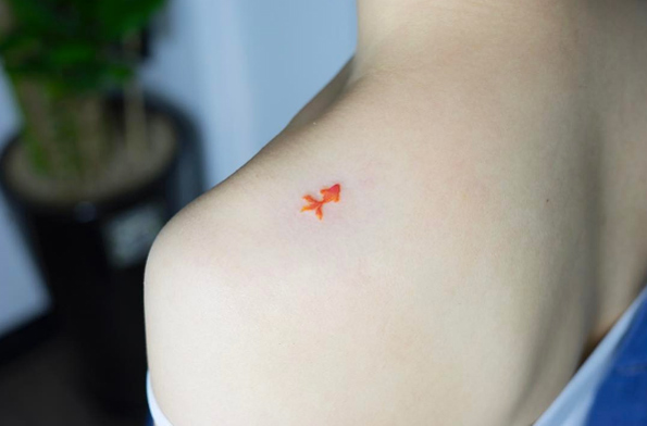 Tiny goldfish by Zihee