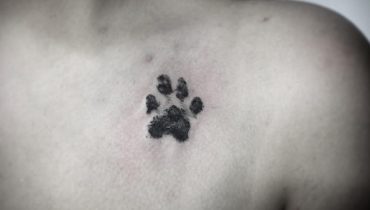 Best paw print tattoo designs