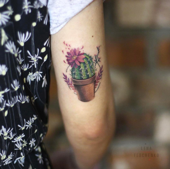 Flowering cactus by Lena Fedchenko