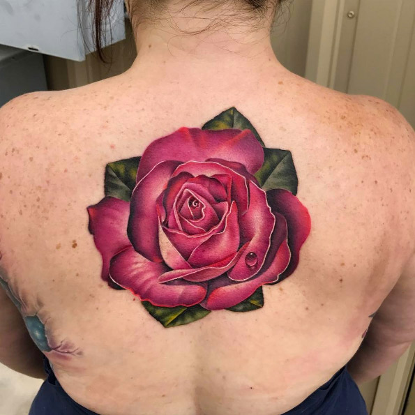 Pink rose on back by Andres Acosta