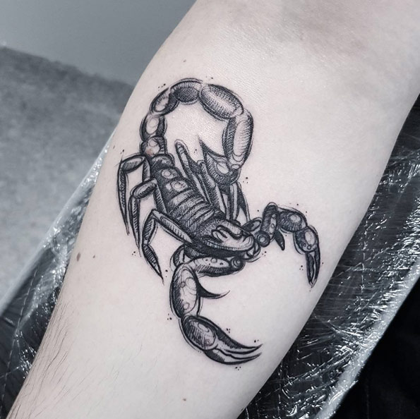 Scorpion by Kerste Diston