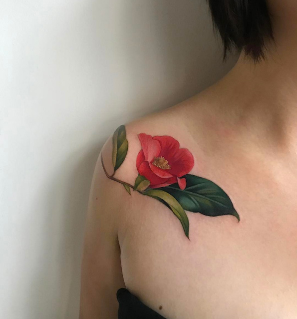 Camellia blossom by Amanda Wachob