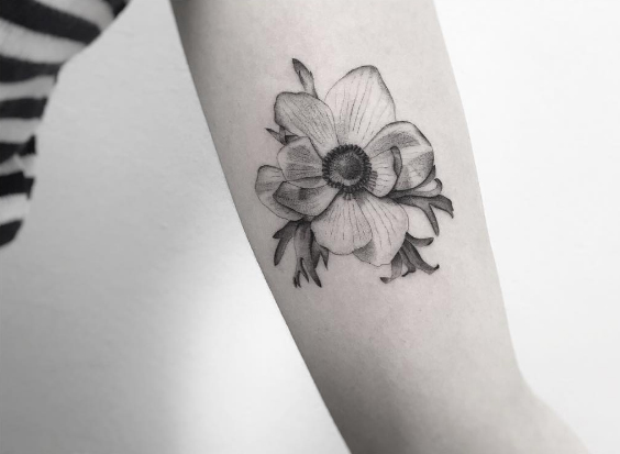 Black and grey ink flower blossom by Jakub Nowicz