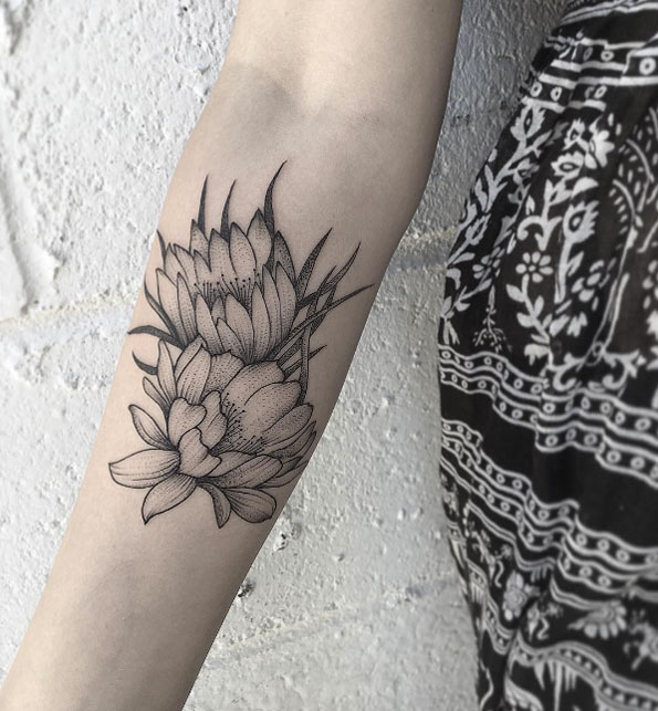 Black and grey ink cactus flowers by Justin Hobson
