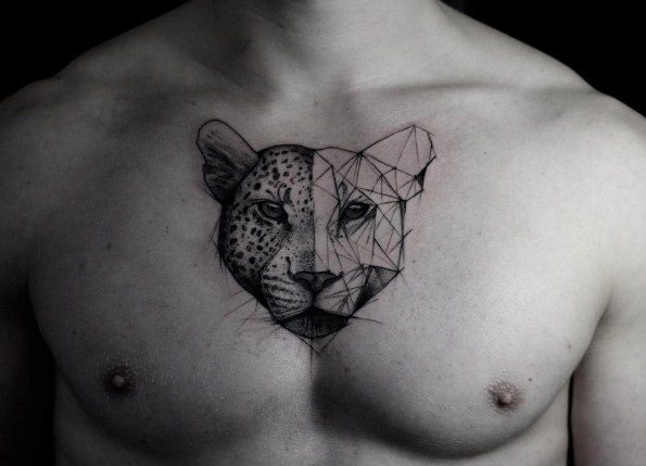 Leopard by Kamil Mokot