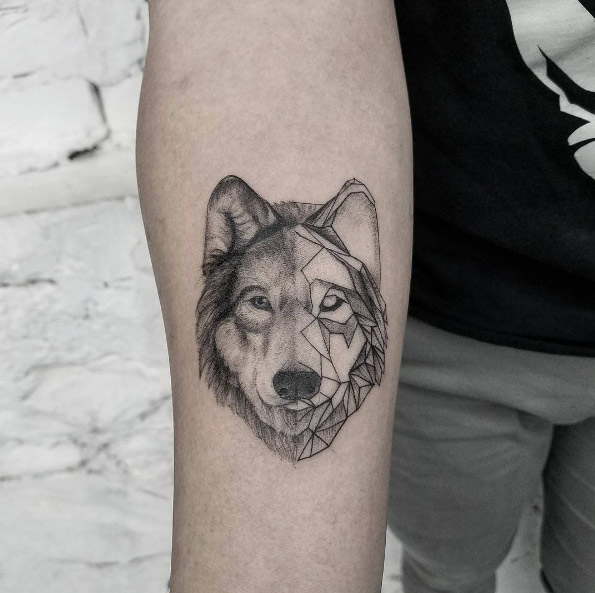 Geometric wolf by Mr. Koo