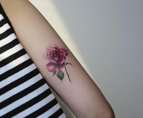 Beautiful rose by Tattooist Flower