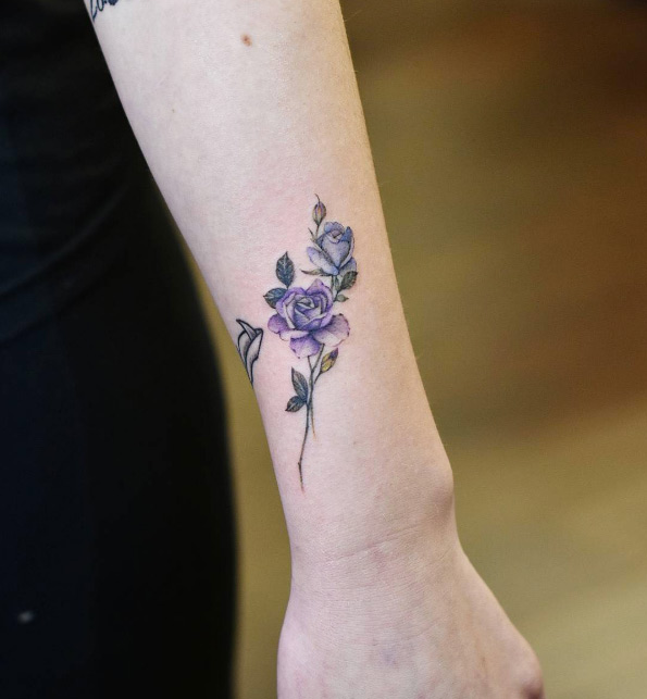 Blue and violet watercolor roses by Drag Ink