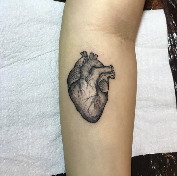 Anatomical heart by Maria Clara Guimaraes